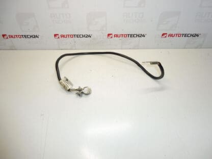 Kabel przyłączeniowy - biegun uziemiający Citroën Peugeot 1493958080 1483693080