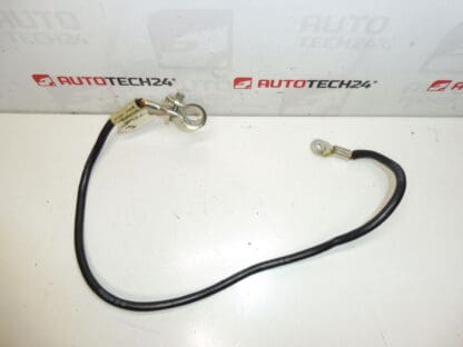 Kabel przyłączeniowy - biegun uziemiający Citroën Peugeot 1493958080 1483693080