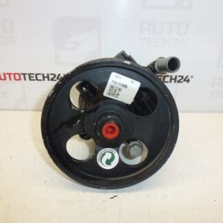 Serwo Citroën Peugeot 1.6 HDI 9665709080 4007WL REPAS